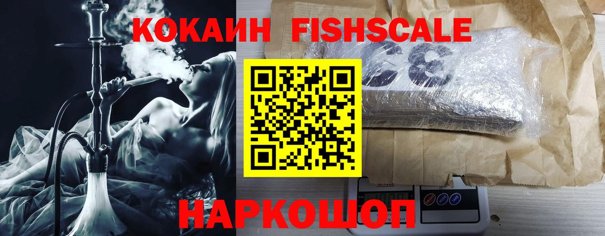 Cocaine FishScale  Вход с VPN  Димитровград 