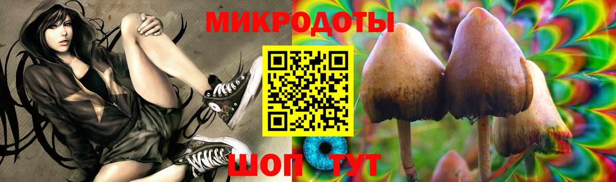 Псилоцибиновые грибы GOLDEN TEACHER  Псилоцибиновые грибы GOLDEN TEACHER  купить наркотик  Вход с VPN  Димитровград 